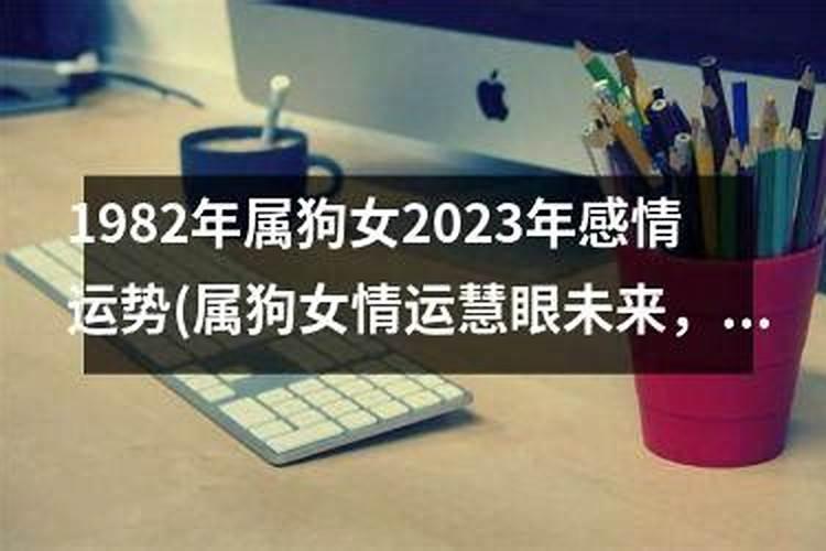 2025年82年狗女的全年运势如何