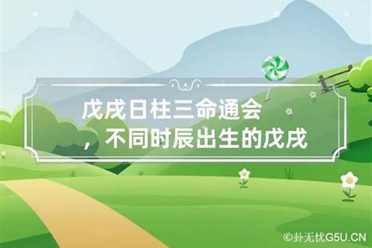 戊戌日元的特点