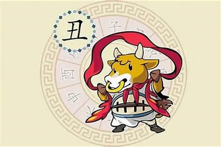 财运一般是什么意思
