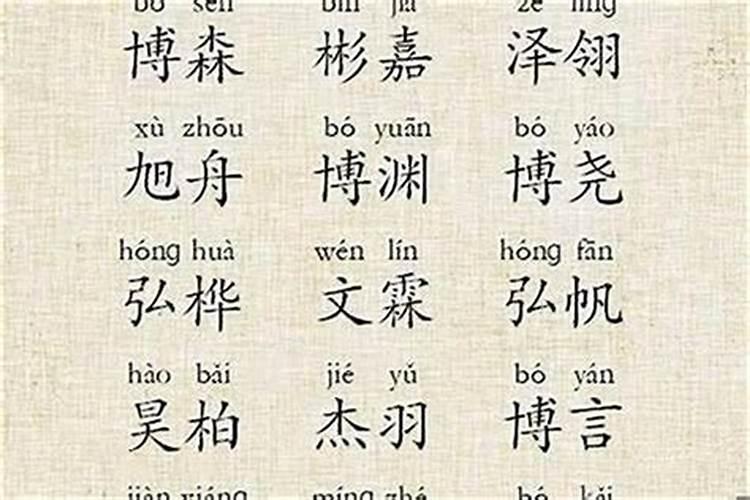 数理是什么意思