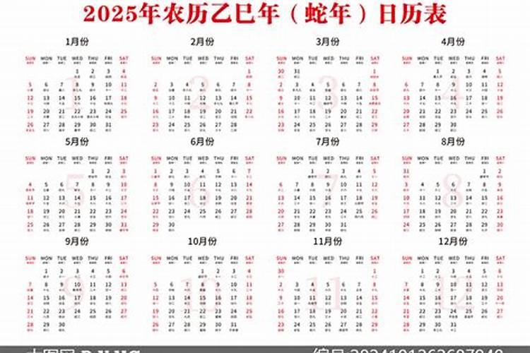 属马2025运势及运程每月运程,2025年属马人运的运势势及运程每月指南百 ...
