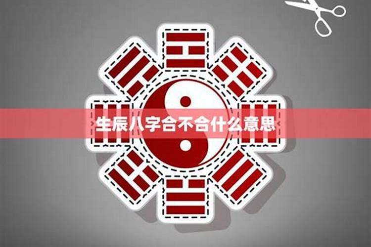梦见女朋友骑车带着我和儿子但马路上车很多