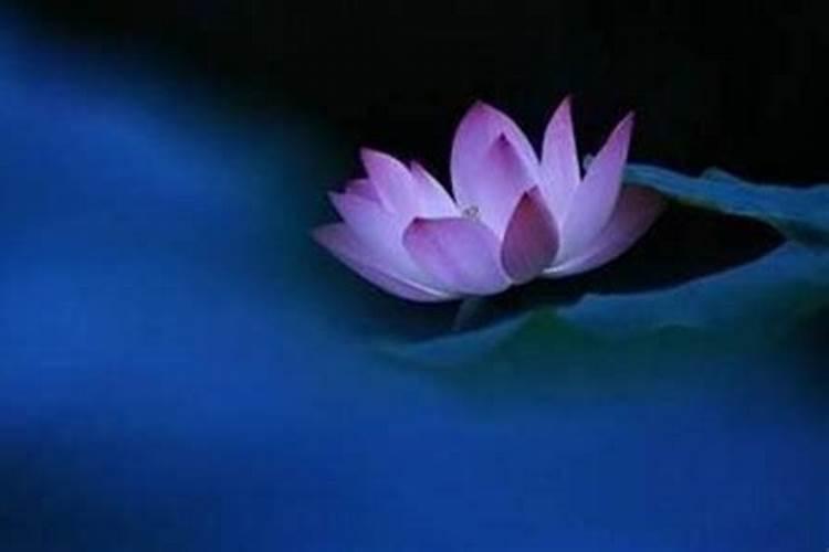 寒衣节出生的人叫天胎