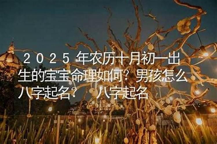 1981年属鸡未来5年运势 事业运势一路向好？