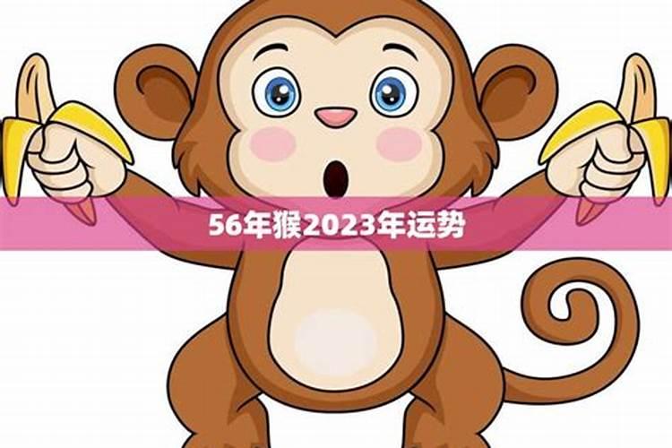 2025属猴今年有一难 2025年属猴人命运如何