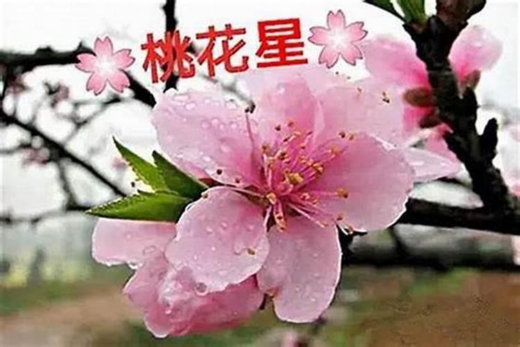 鉴定太岁最简单的方法