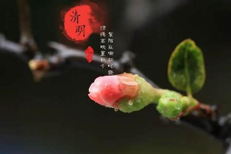 女孩本命年可以结婚吗