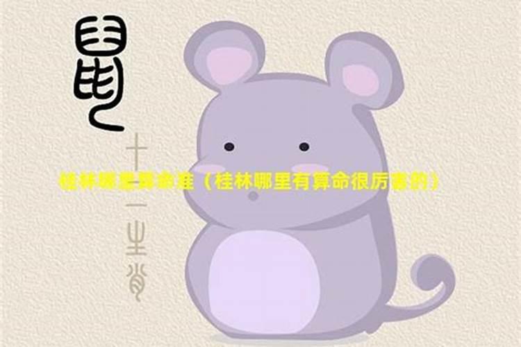 桂林恭城大岭山桃园怎么样？