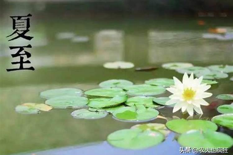 梦见看见熟人致使别人流产的预兆