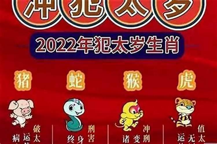 2025年为什么龙也犯太岁呢