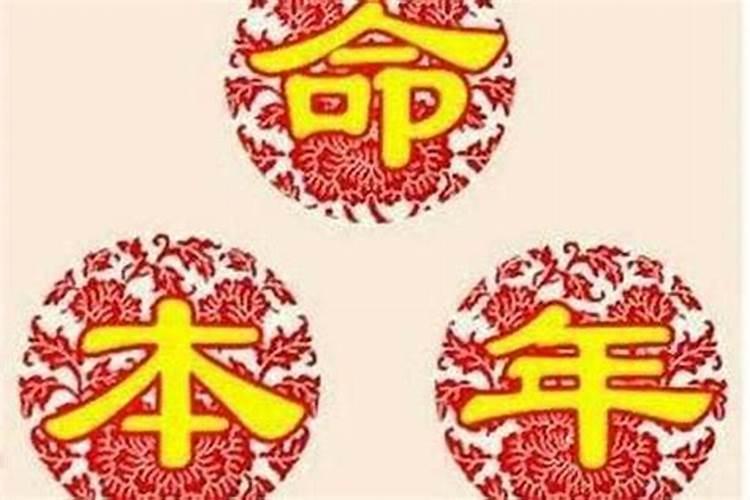 02年今年是本命年吗