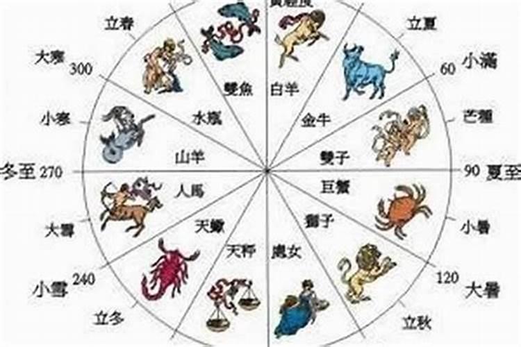 命谱的作者简介