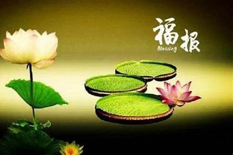 立冬出生的人命硬 一生都颇具荣华？