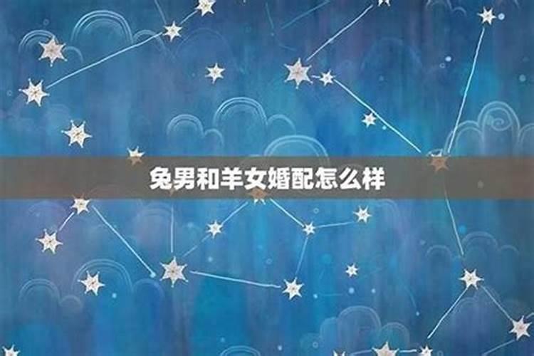 女属兔和男属羊的八字合么