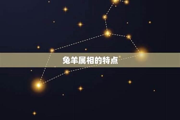 属羊男人和属兔女人相配吗