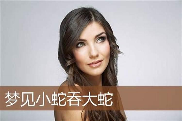 恋爱中的人梦见蛇的寓意是什么
