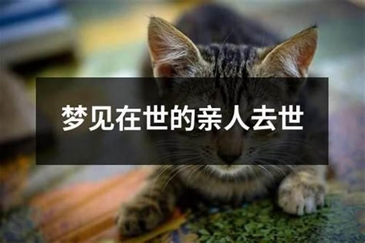 冬至要做什么