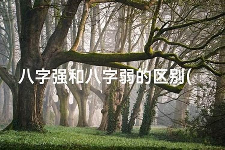 梦见会议室很多人在开会