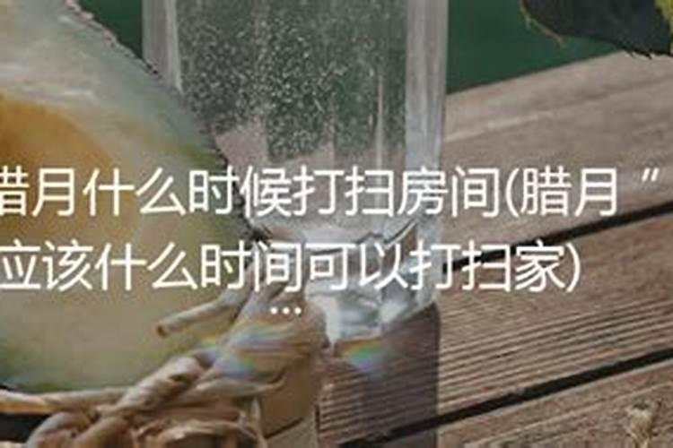 1995年冬至那一天是什么星座