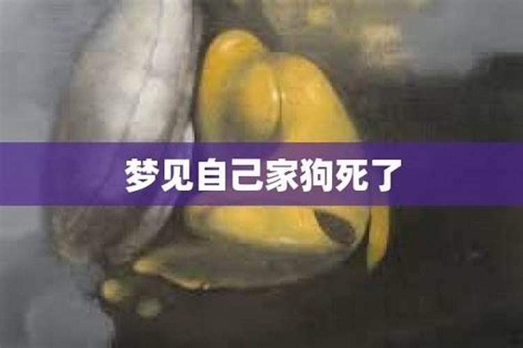 属相不合婚姻就不幸福吗