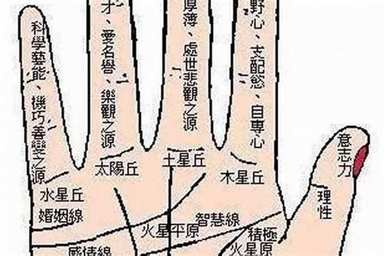 大婚不合是什么意思,什么叫大婚不和,小婚和？