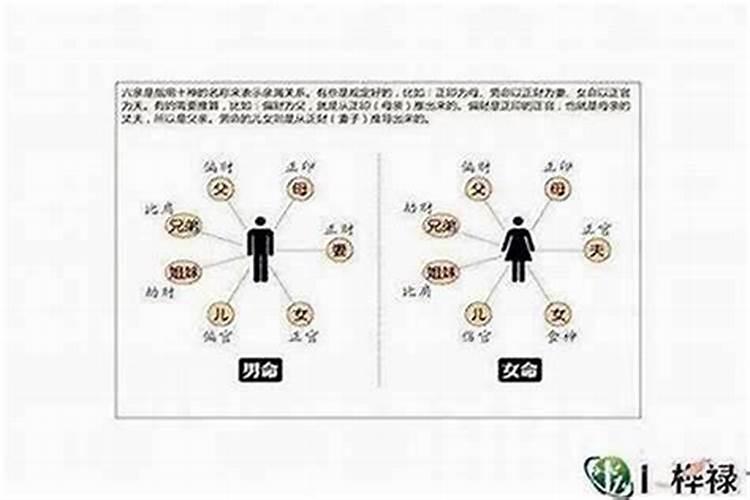 属牛农历几月出生最好命,一月牛宝宝福寿双全之人？