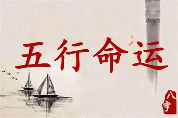 冬至吃饺子好还是吃汤圆好