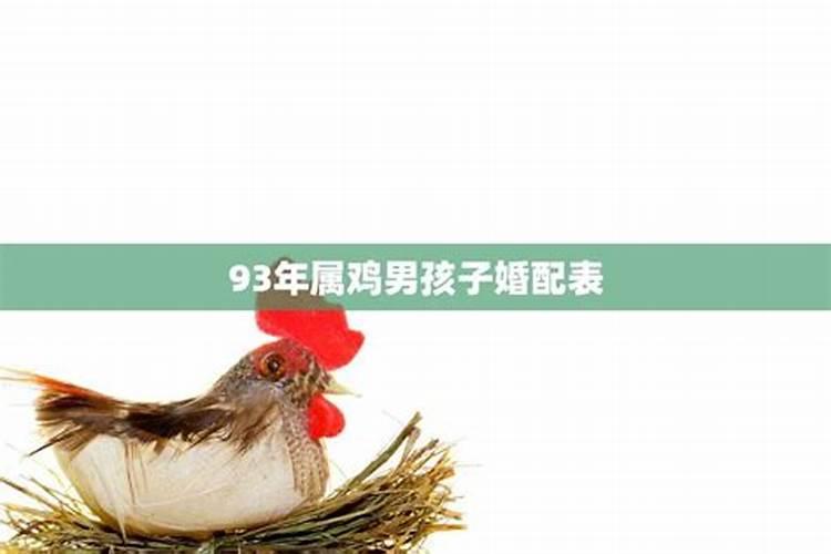 93年属鸡的属相婚配表
