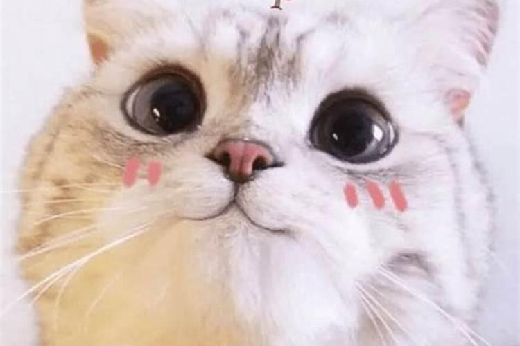 阴历十月初一能给财神爷烧香吗