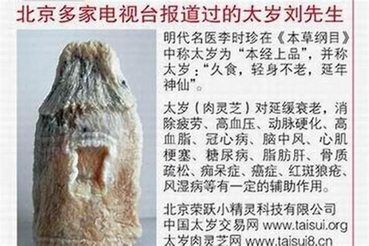 梦见马在天上飞的预兆