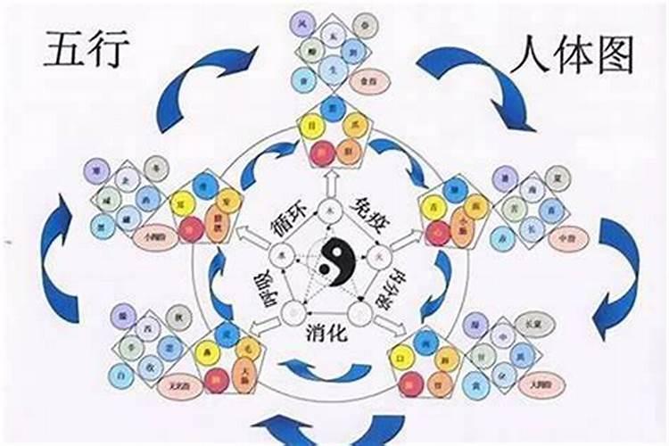 中元节扫墓带什么水果 中元节扫墓带哪些水果