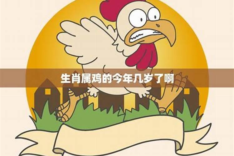 生肖鸡今年多少岁鸡2024年的多少岁