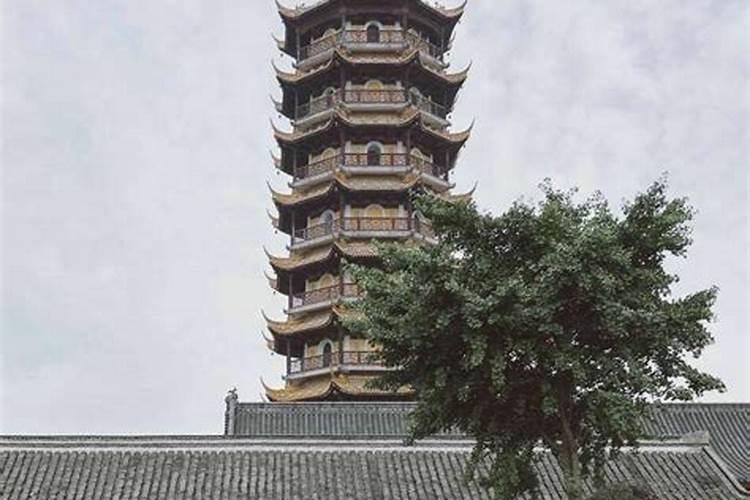 “知不足者好学,耻下问者自满。”这句话是什么意思？