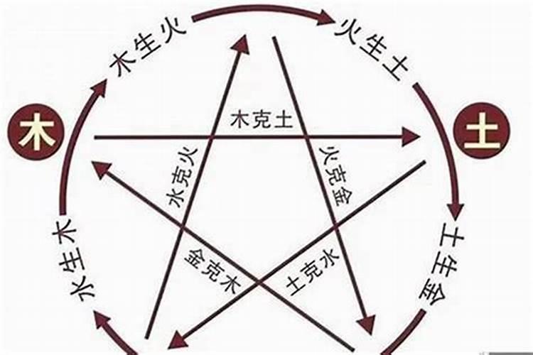 男孩平地木命好吗