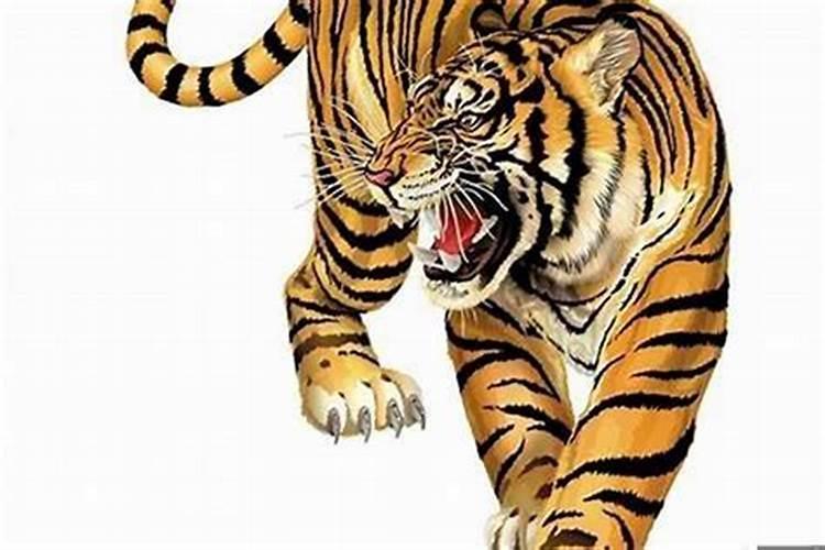 71年十一月属猪的命运,1971年属猪的人是什么命