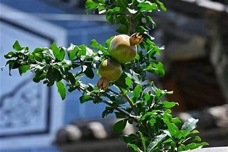 八字合婚app靠谱么,八字合婚到底靠谱不靠谱？有被坑过的吗？
