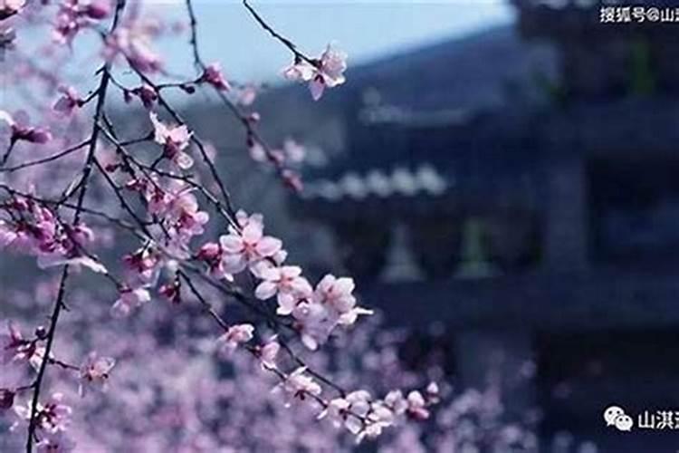 都是犯太岁,刑、冲、破、害有何区别,哪种影响更大？