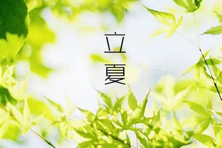 梦见死马的预兆