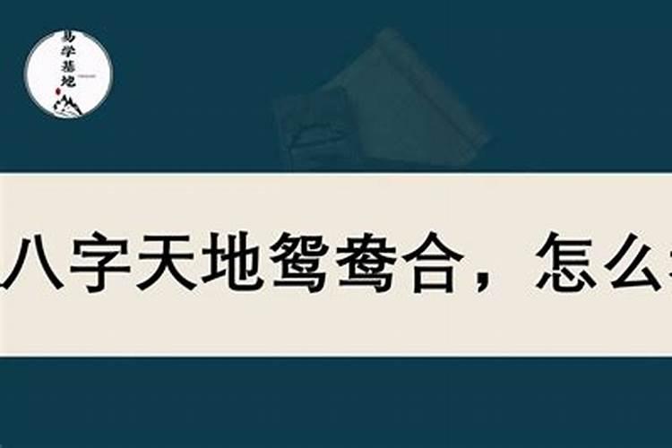 天地鸳鸯合:辛酉什么意思？