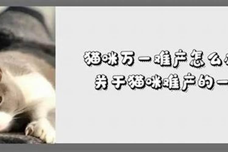 三合局吉凶 八字地支三合局的人？