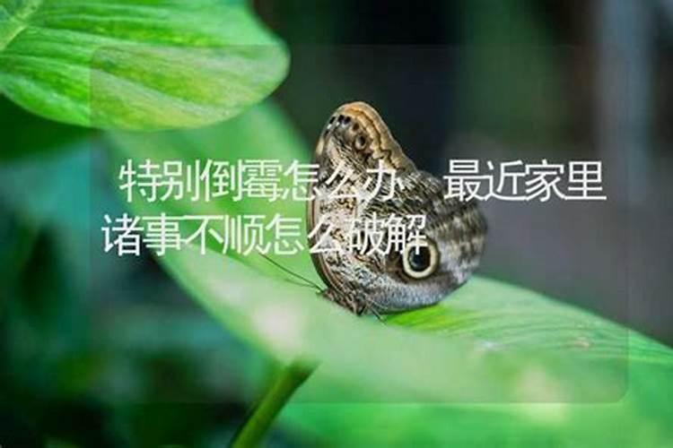 什么是童子锐阳