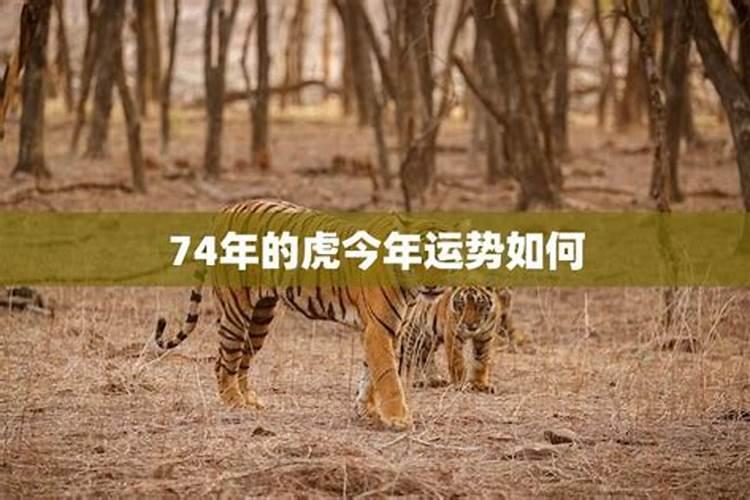 结婚用的生辰八字怎么写男方来提亲,要