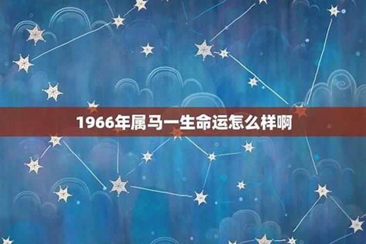1966年生肖马什么命1966年属马的人到底是什么命