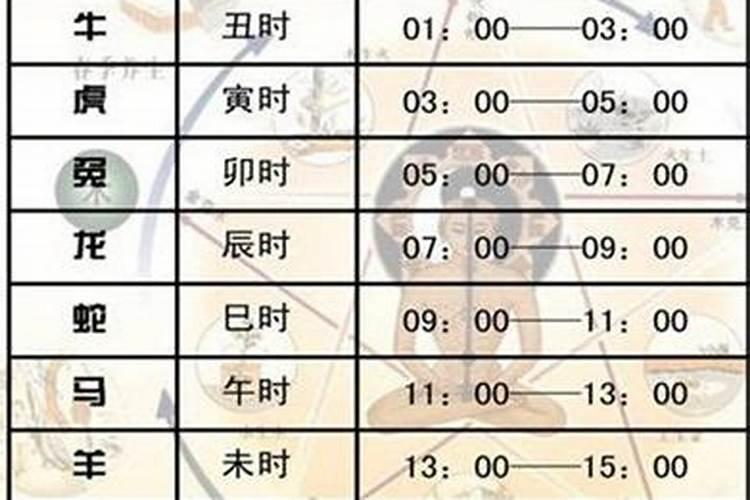 属兔水瓶座女生性格特点 最大特点是自由真诚？