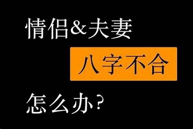 72年鼠在2025年的全年运势