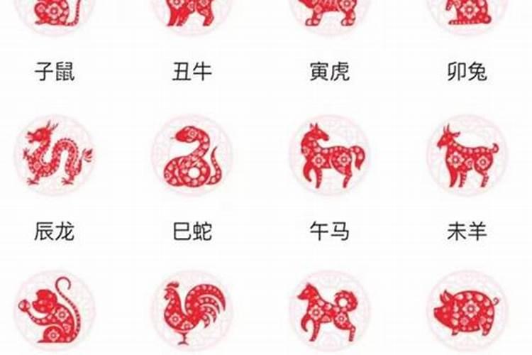 94年属狗和97年属牛八字合吗 两人属相相刑