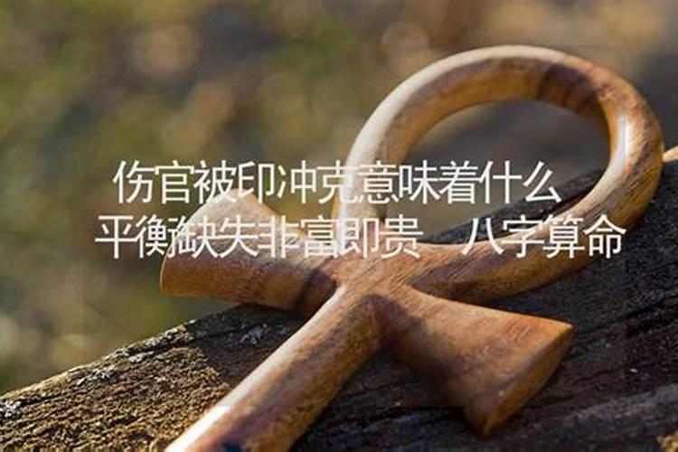 男命伤官见官代表什么
