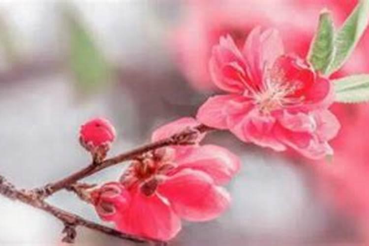 中元节烧纸钱的原因 中元节为什么烧纸钱