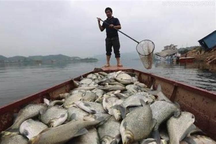 梦见搬家收拾东西是什么意思
