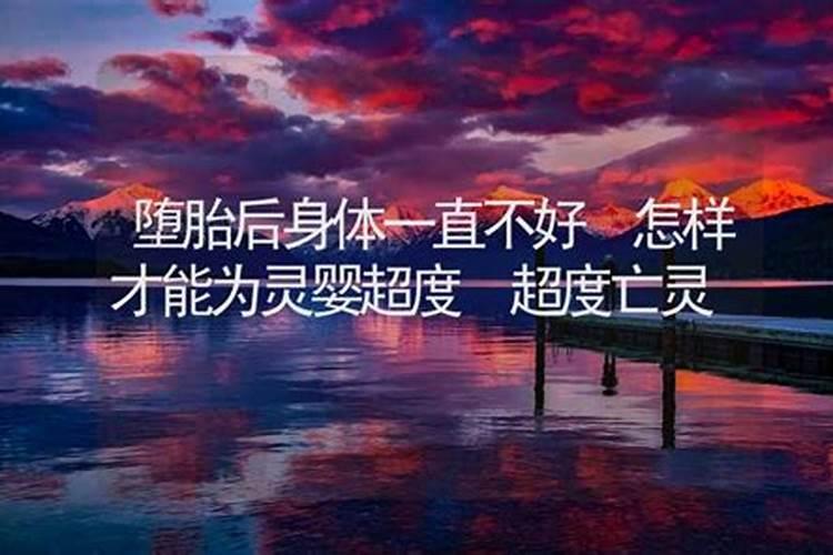 1984年属鼠和1987年属兔合不合